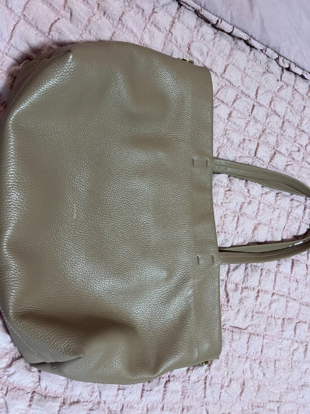Cuyana Classic Easy Zipper Leather Tote Bag in Cappuccino color